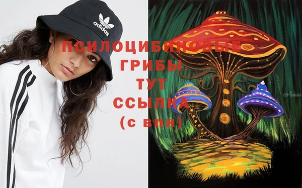 2c-b Армянск