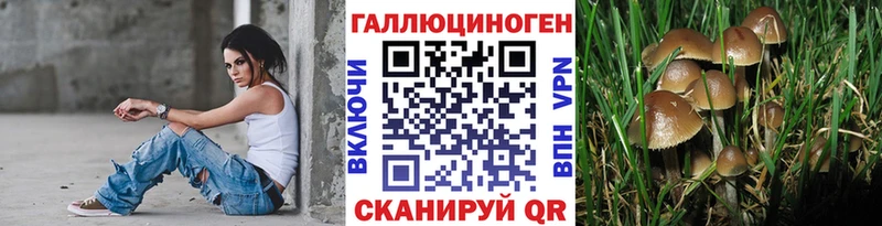 Галлюциногенные грибы мицелий  Камбарка 